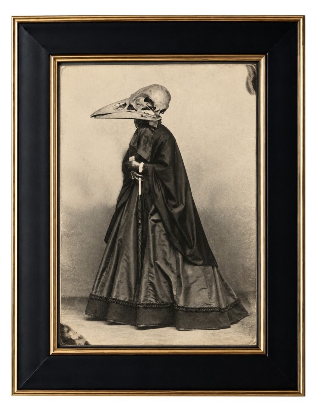 Vintage Animal Bird Head Anatomy Oddity Oddities  Gothic Goth Framed Photo Print